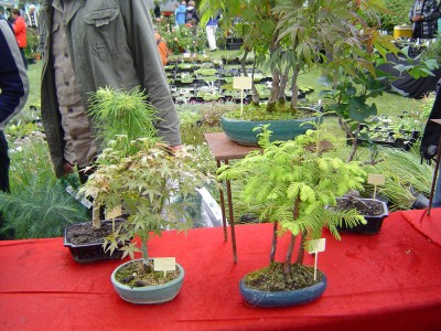 DSC08620.jpg