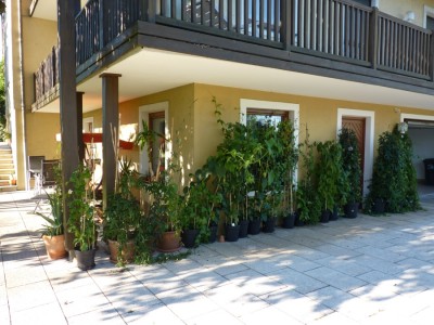 passiwand haus.jpg