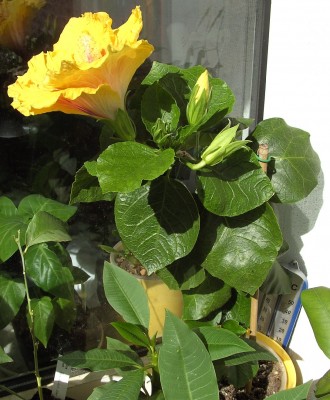 BILD0039.JPG
