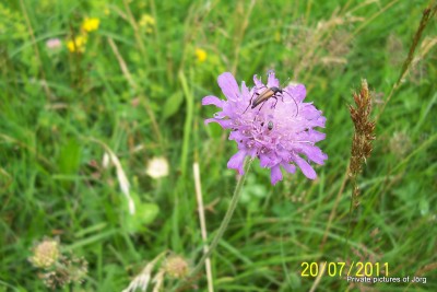 100_6841.JPG