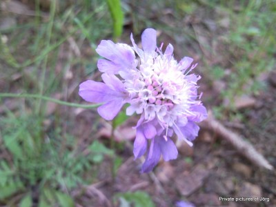 SNC01409.JPG