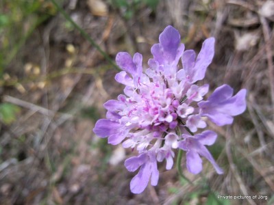 SNC01406.JPG