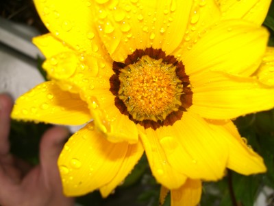 CIMG0427.JPG