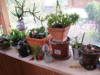 2011_7368.jpg