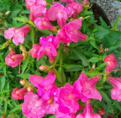 Größenänderung 100D5152.jpg