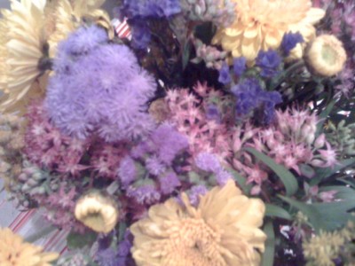 Foto9.JPG