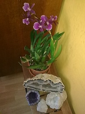 ..Bild für Gerda.JPG