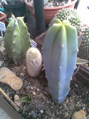 Bild005.jpg
