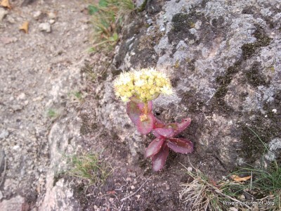 SNC01467.JPG