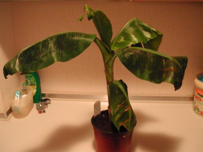 DSCN8159.JPG
