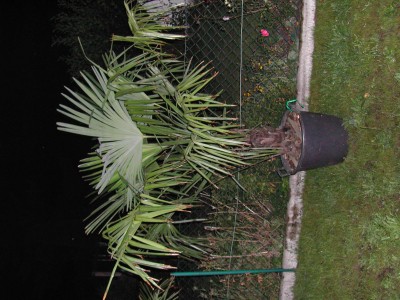 DSCN8160.JPG