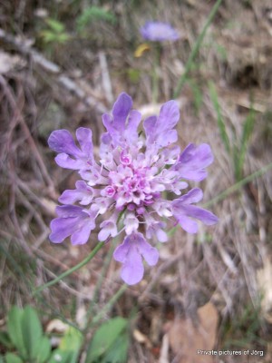 SNC01401.JPG