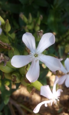 2011-09-03 11.18.18.jpg