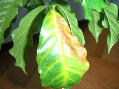 PICT0003.JPG