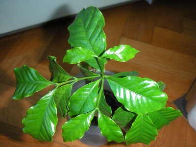 PICT0002.JPG