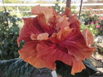 Magic Moments 03-09-2011.JPG