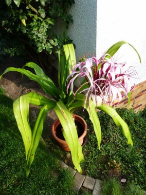 image0005.jpg