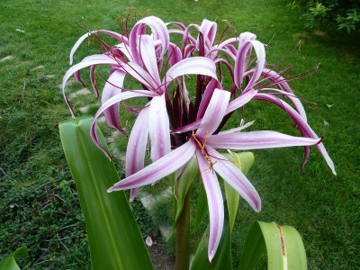 image0002.jpg
