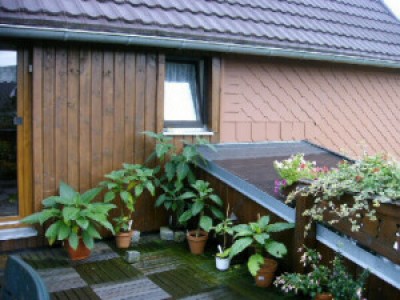 IMAG0171.JPG