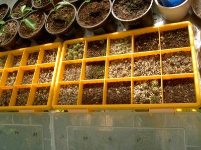 PICT1073.JPG