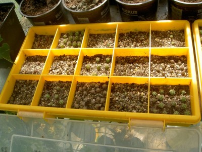 PICT1072.JPG