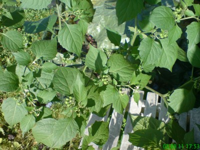 DSC00125.JPG