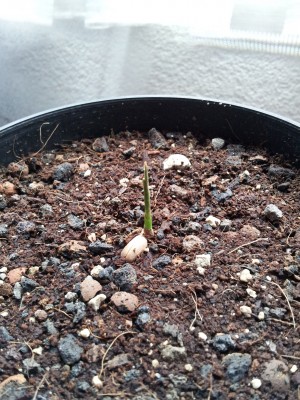 2011-09-05 19.28.48.jpg