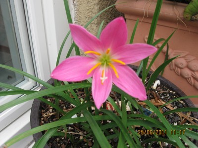 2011_6173.jpg