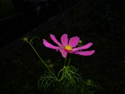 P1050244.JPG