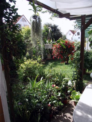 Rezept Veroneser Hähnchen 004.jpg