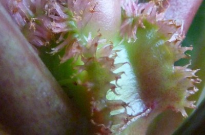 037 (640x424) - Kopie.jpg