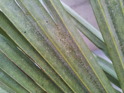 2011-09-06 19.36.24.jpg