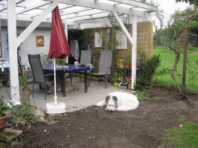 Größenänderung IMG_3398.JPG