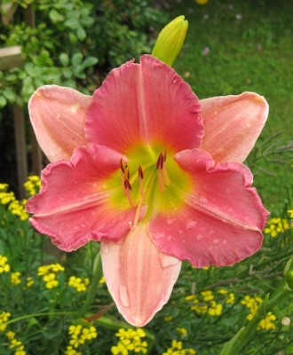 Final Touch_0660.jpg