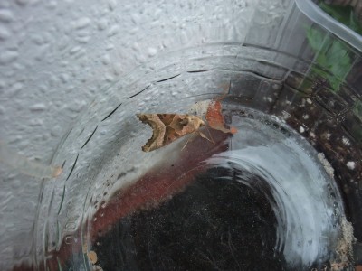 DSCF9885.JPG