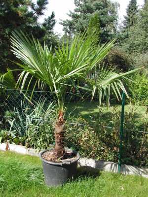 DSCN8165.JPG