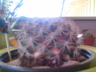 100920112919.jpg