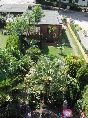 Ralf's Garten 01.JPG