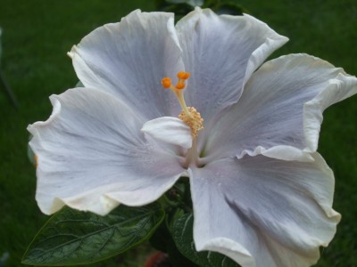 Timeless Treasure.JPG