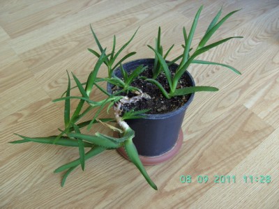 BILD0321.JPG