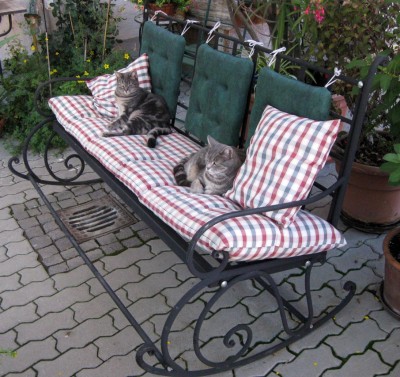 Medi und Griese_1767.jpg