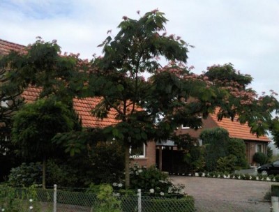 SNC00215.jpg