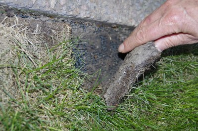 Rollrasen07.jpg