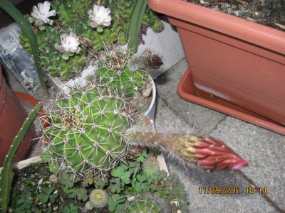 2011_7552.jpg