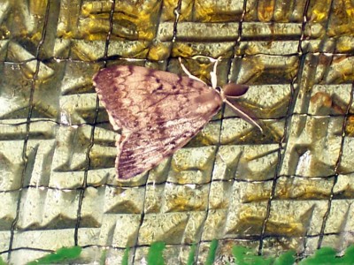 100_9905.jpg