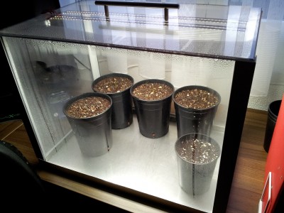 2011-09-07 19.56.27.jpg