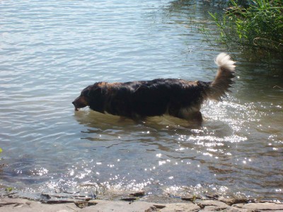 Größenänderung 100D5778.JPG