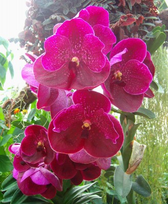 Größenänderung 100D5838.jpg