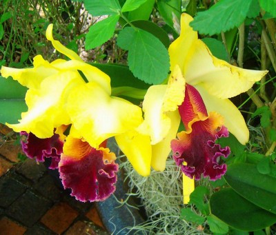 Größenänderung 100D5829.jpg