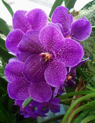 Größenänderung 100D5834.jpg